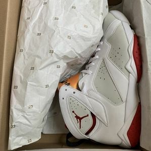 Jordan 6 Retro Alternate